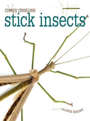 cover image of Stick Insects
